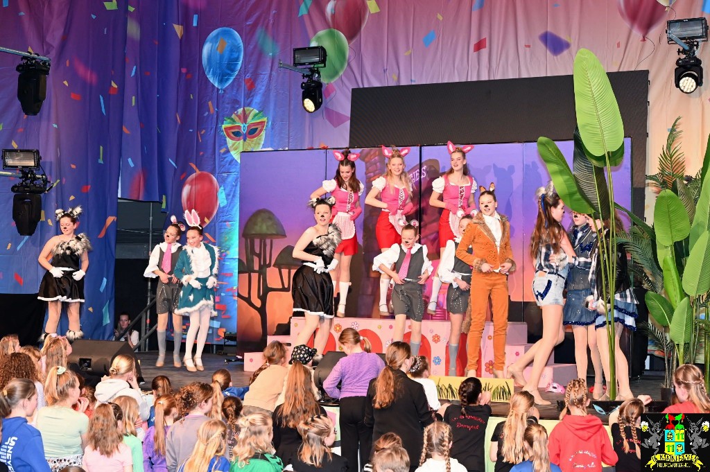 ../Images/Dansmariekefestival 2025 337.jpg